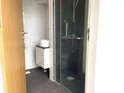 Loft @ Holland (D10), Apartment #568893191